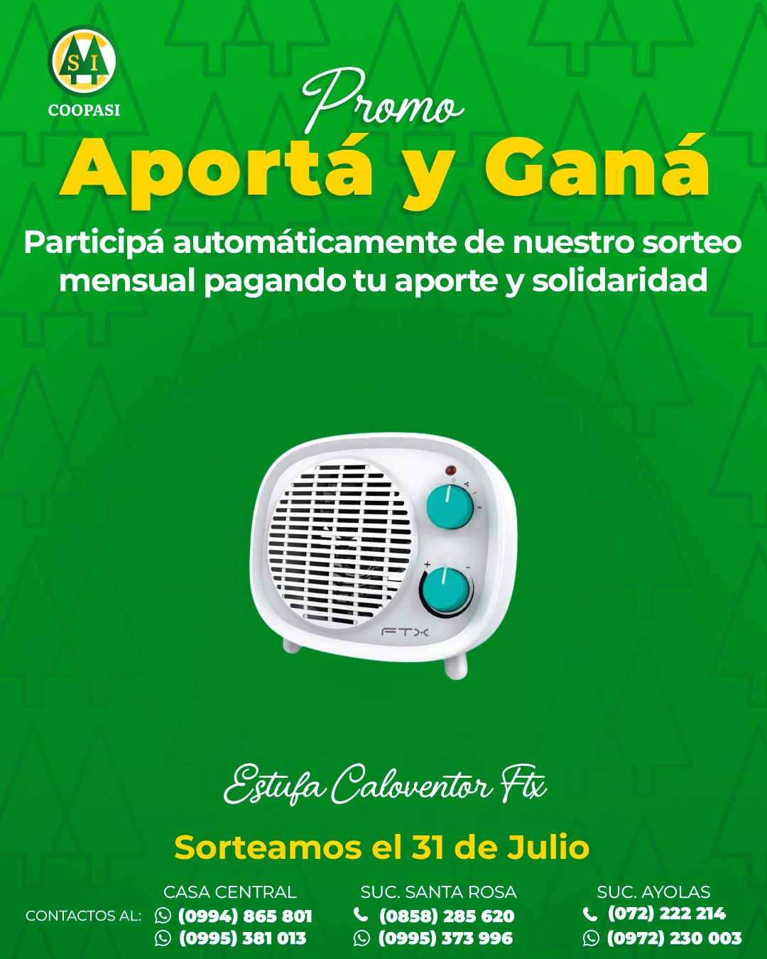 Novedad 6